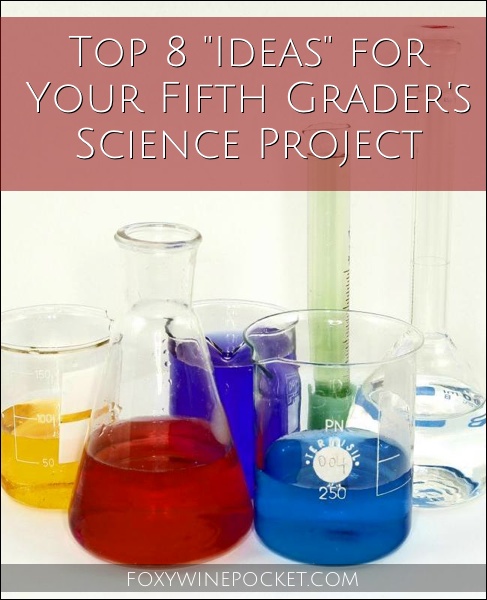 Top 8 "Ideas" for Your Fifth Grader's Science Project @foxywinepocket